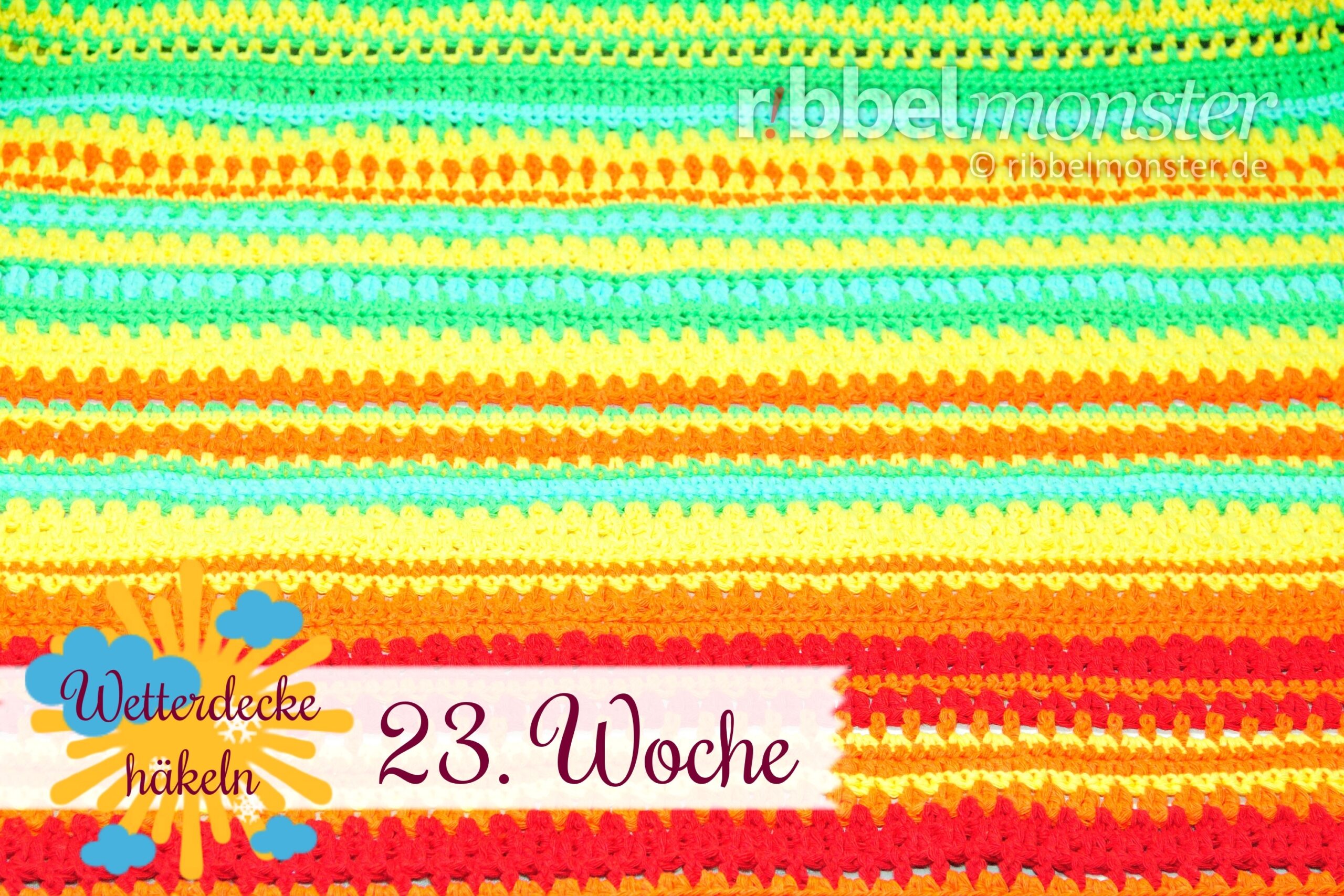 Crochet Weather Blanket – CAL – 23rd Week