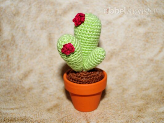 Amigurumi – Crochet Cactus “Olig”